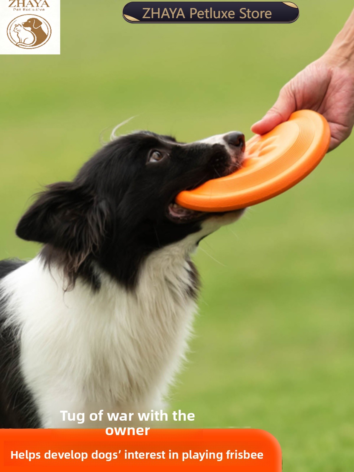 Flying Disc Dog Training Toy - Disco Volador para Perros, Suave, Resistente