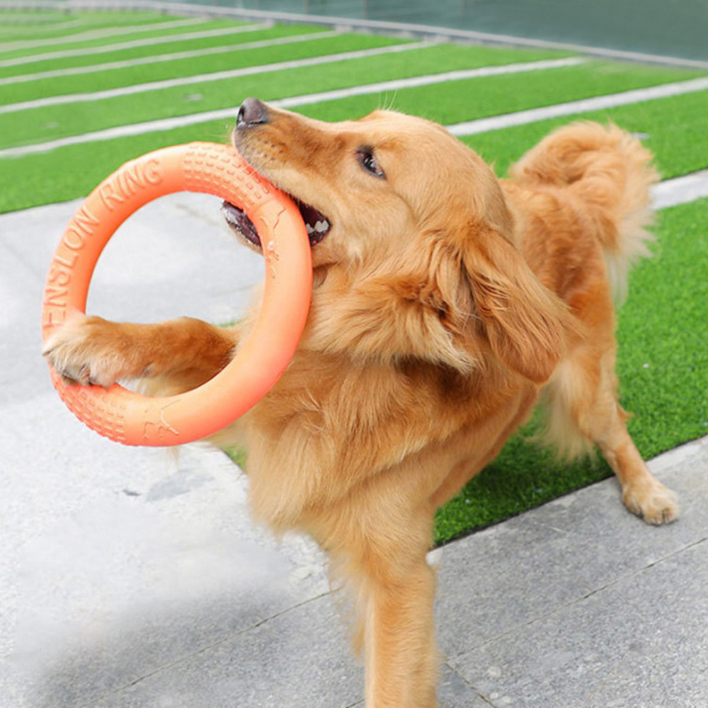 Tirador de anillo de entrenami - Flying Disc Dog Training Toy reseña y precio