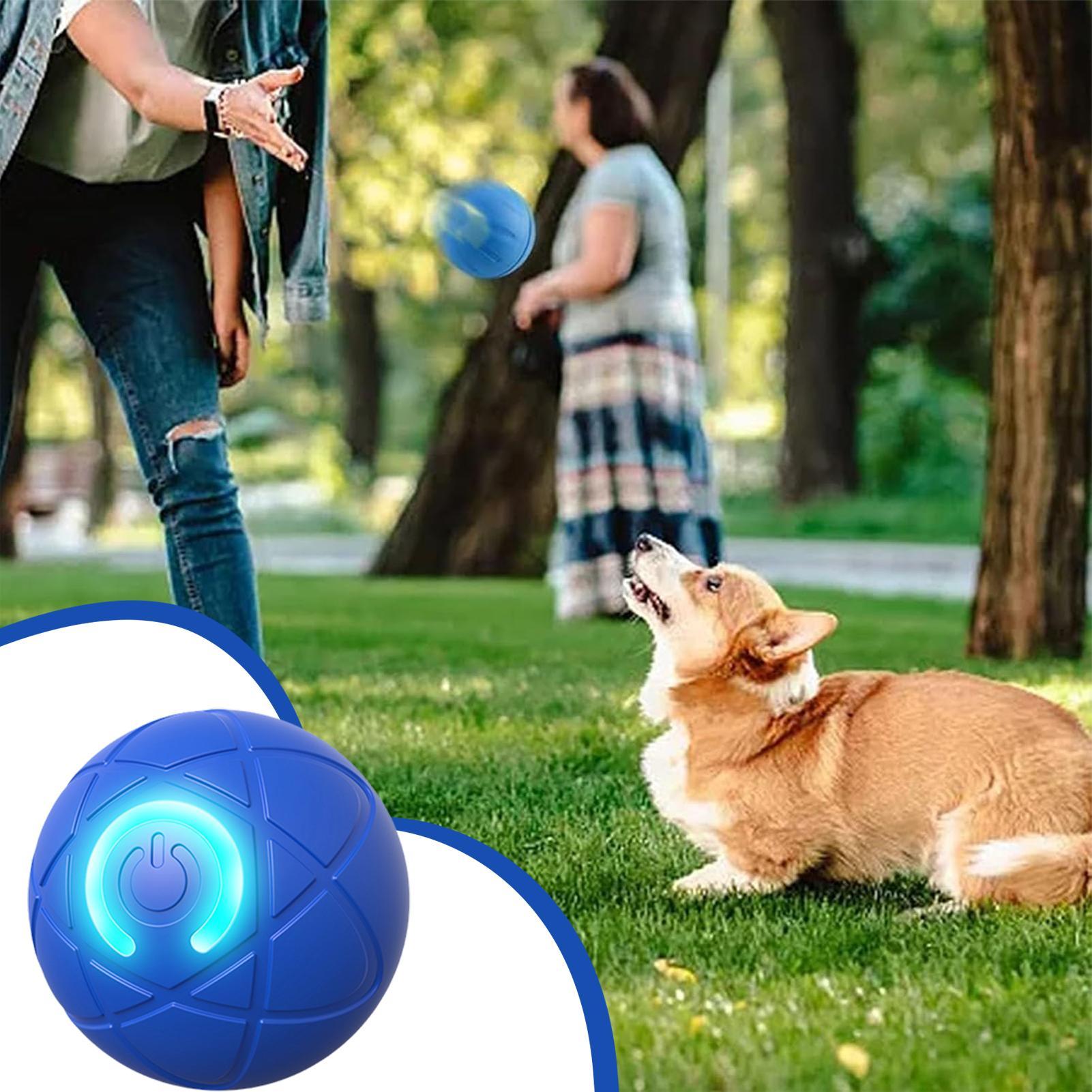 Juguetes Interactivos Intelige - Automatic Moving Dog Ball reseña y precio