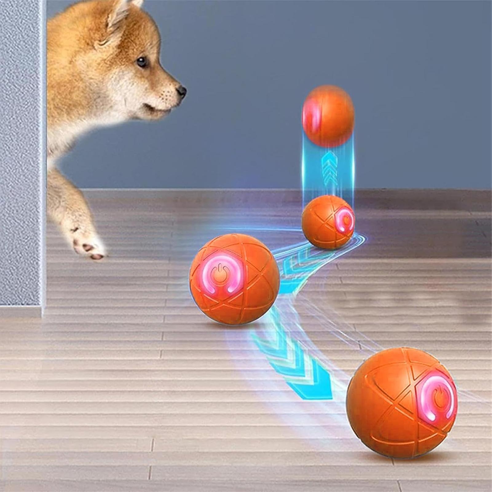 Juguetes Interactivos Intelige - Automatic Moving Dog Ball reseña y precio