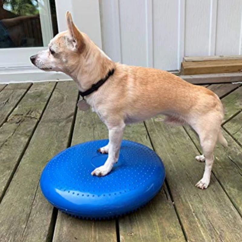 Ayuda de entrenamiento para pe - Flying Disc Dog Training Toy reseña y precio