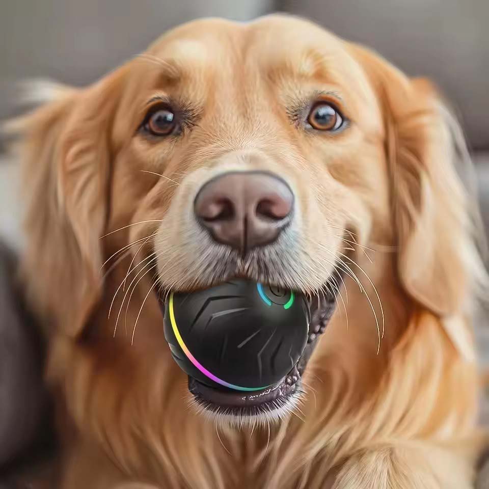 Juguetes Interactivos Intelige - Automatic Moving Dog Ball reseña y precio