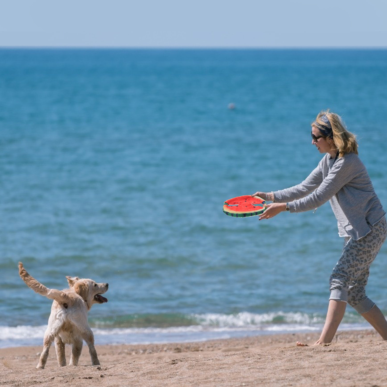Disco volador para perros con  - Flying Disc Dog Training Toy reseña y precio