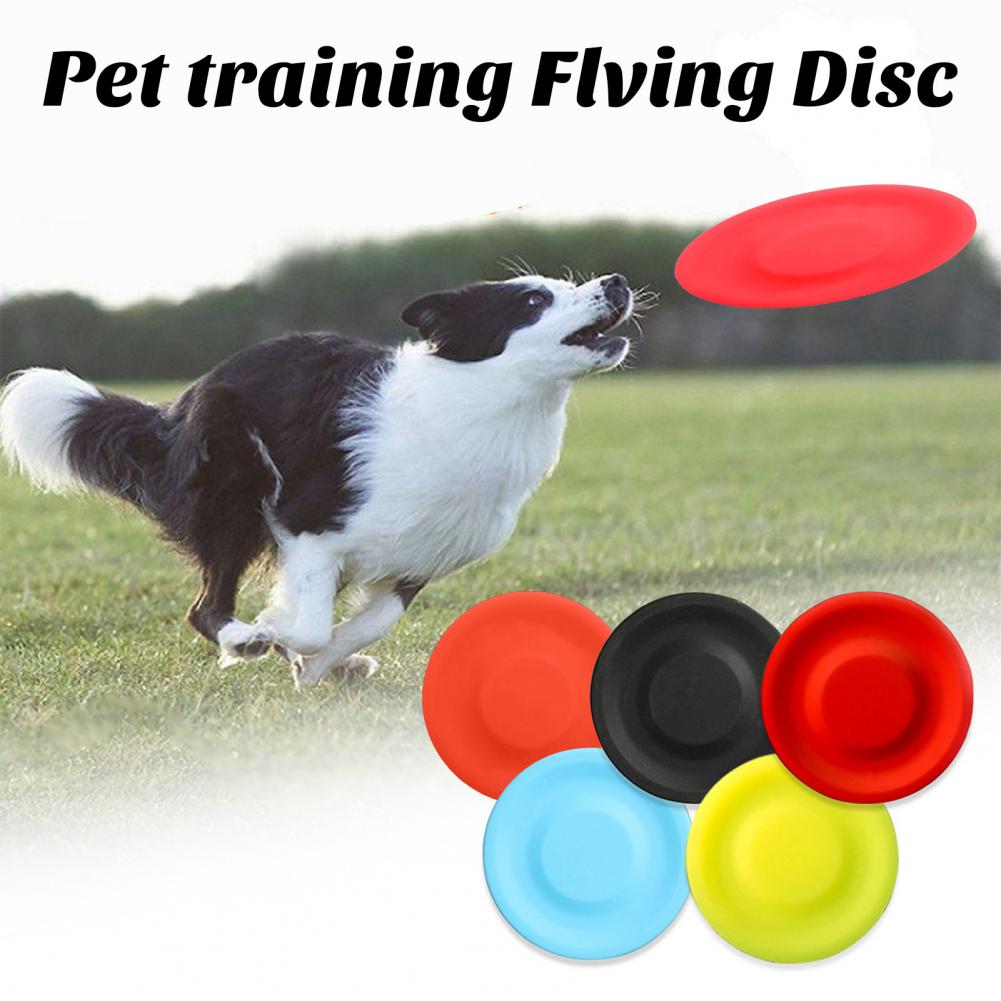Juguete de disco volador para  - Flying Disc Dog Training Toy reseña y precio