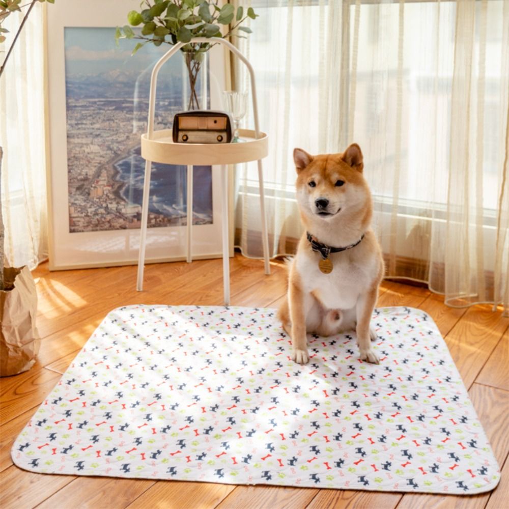 Alfombra Superabsorbente y Dur - Pet Beds reseña y precio