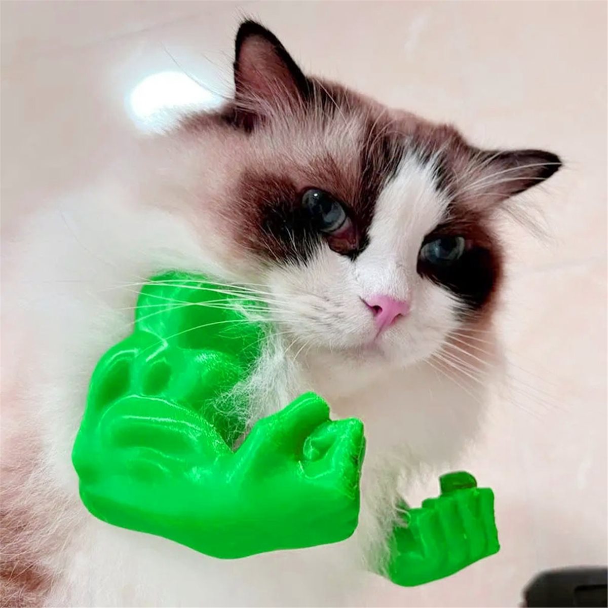 Nuevo colgante de brazo de gat - Cat Toys reseña y precio